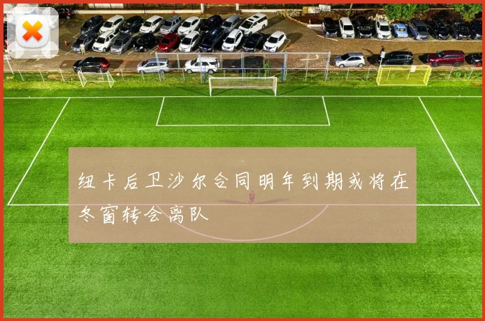 纽卡后卫沙尔合同明年到期或将在冬窗转会离队