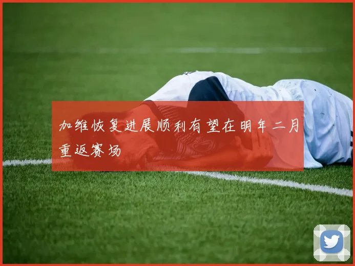 加维恢复进展顺利有望在明年二月重返赛场
