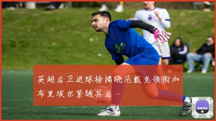 英超后卫进球榜揭晓范戴克领衔加布里埃尔紧随其后